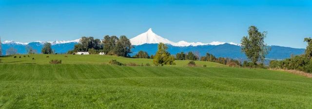 Parcelas, Laderas de Rupanco (73349)