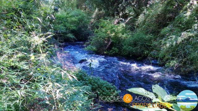 Villarrica Parcela orilla de rio sector challupen Lican Ray