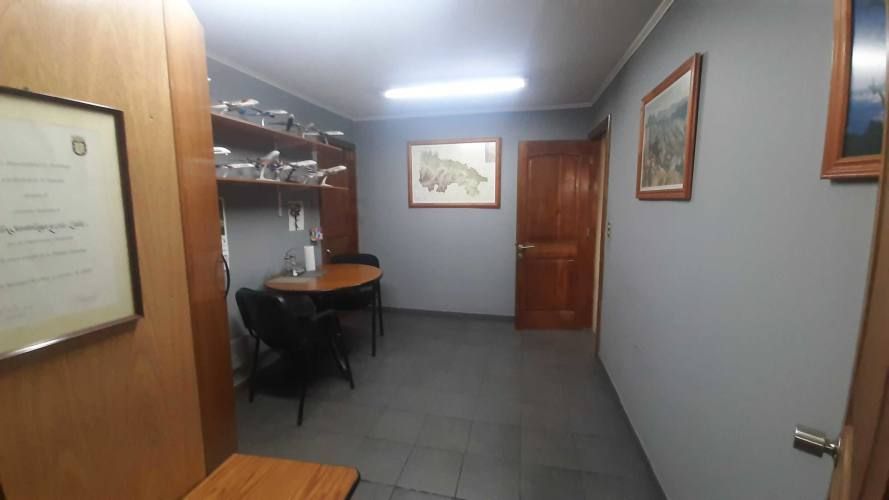 amplia bodega, taller, local comercial ,  (74980)