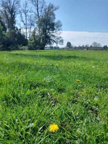 Cercano a Aeropuerto Pichoy (74724)