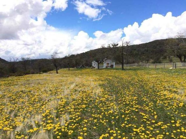 Parcela de 1 Hectarea en Villa Ñirehuao (74537)