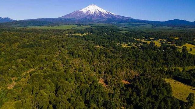 Parcela 5.000 Mt2, Condominio Alto Pirao (74528)