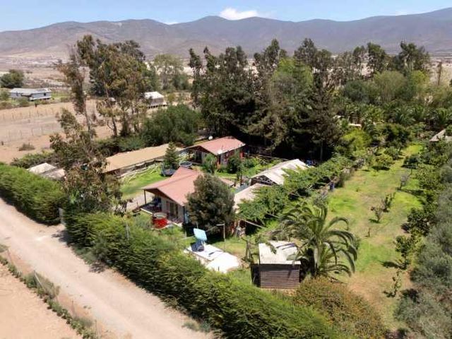 Pan de Azúcar // Hacienda Venus (74239)