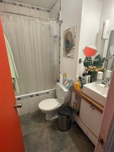 Diagonal Paraguay  (74040)