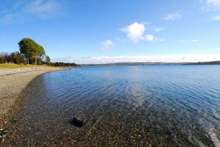 El Maritimo  (73974)