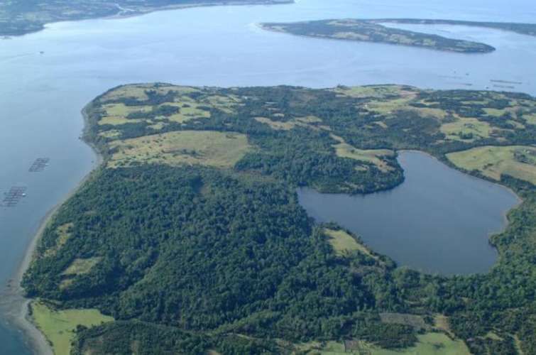 El Maritimo  (73974)