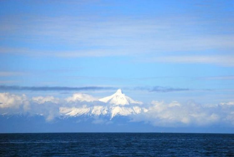 El Maritimo  (73974)