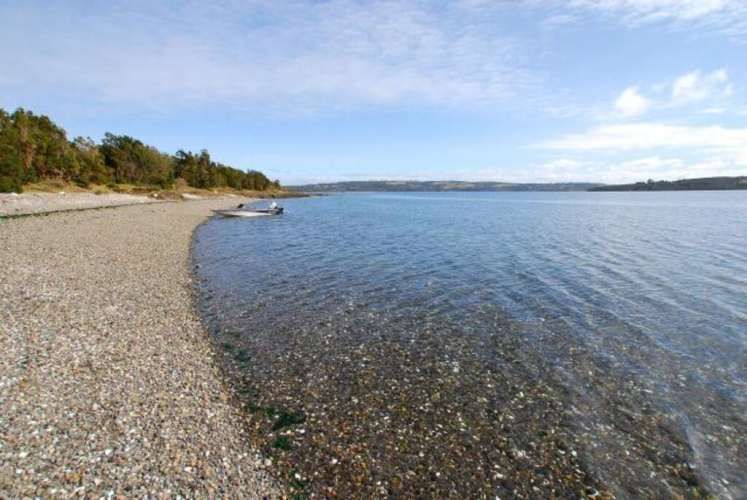 El Maritimo  (73974)