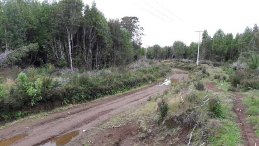 El Maritimo  (73974)