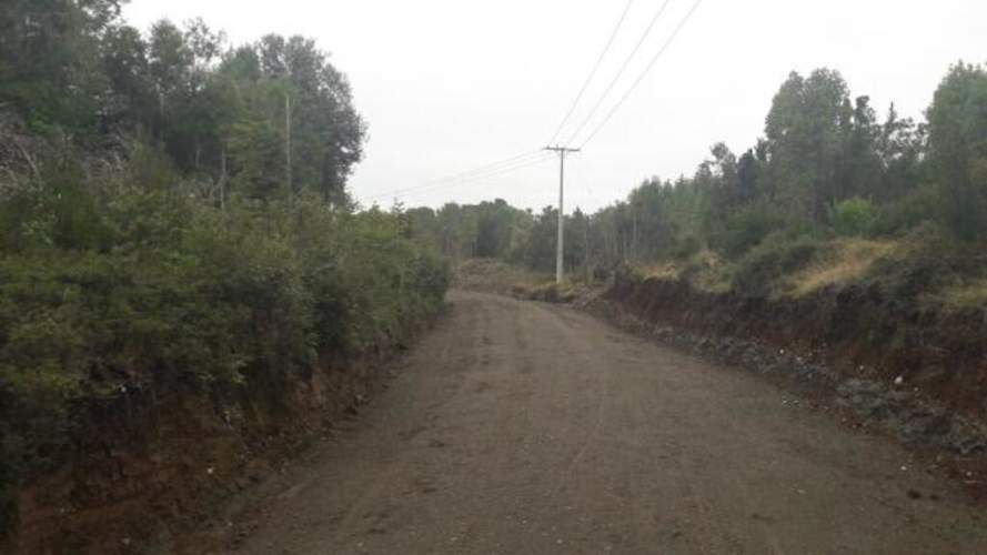 El Maritimo  (73974)