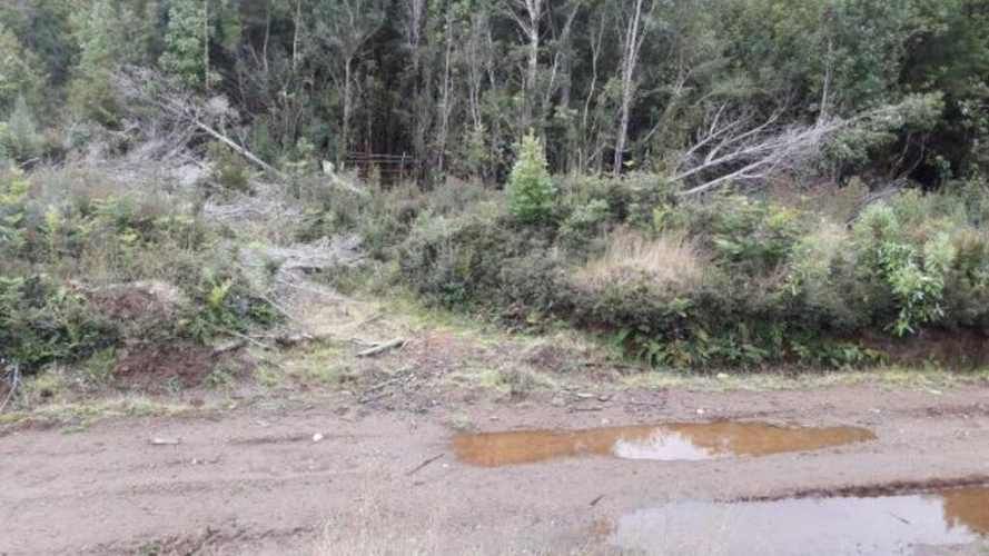 El Maritimo  (73974)