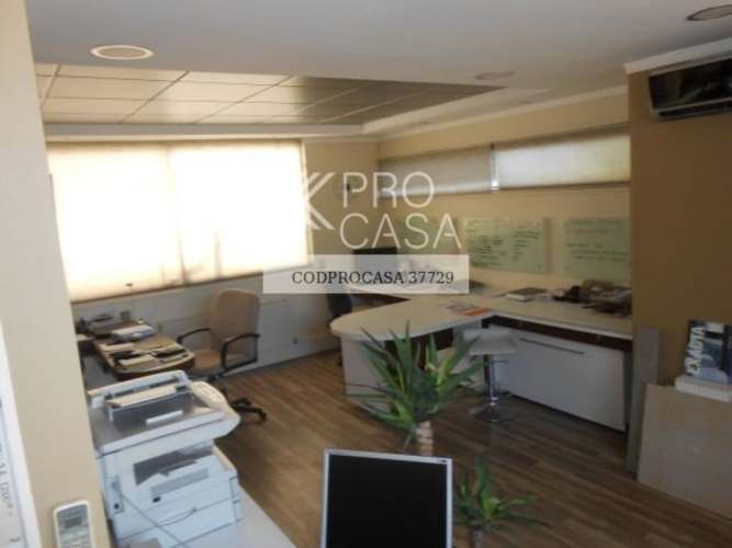 Eloisa Lemus (73955)