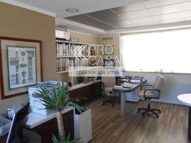 Eloisa Lemus (73955)