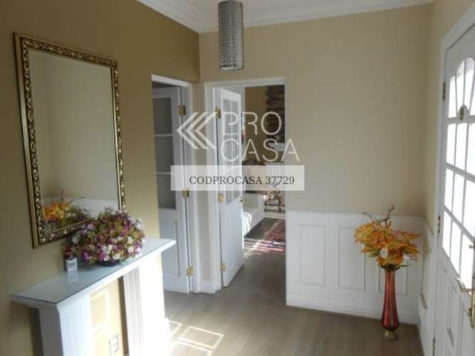 Eloisa Lemus (73955)