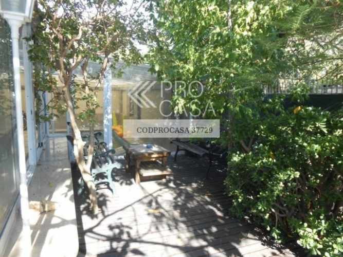 Eloisa Lemus (73955)