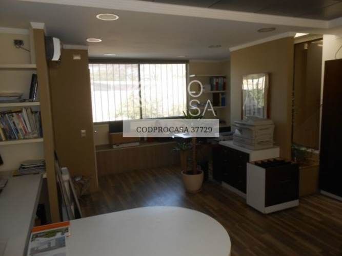 Eloisa Lemus (73955)