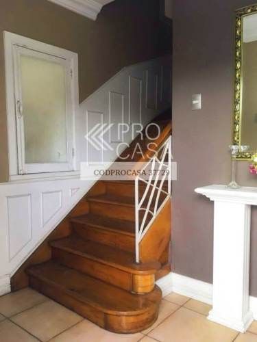 Eloisa Lemus (73955)