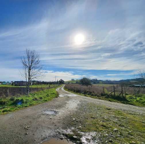 1 HECTARIA EN LONCOTORO VISTA A LOS VOLCANES (73806)