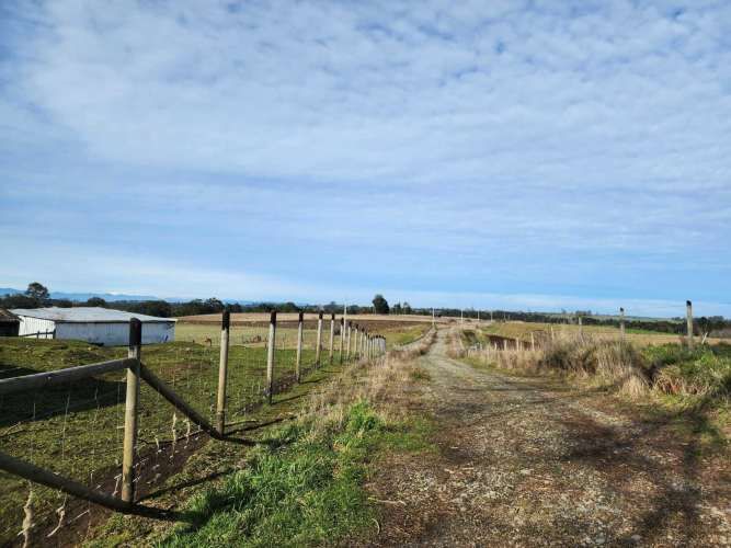 1 HECTARIA EN LONCOTORO VISTA A LOS VOLCANES (73806)