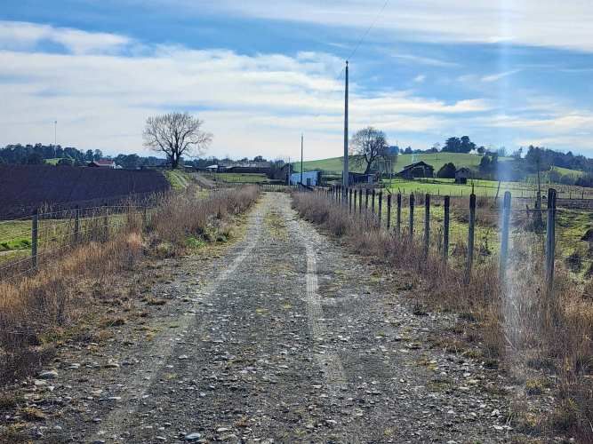 1 HECTARIA EN LONCOTORO VISTA A LOS VOLCANES (73806)