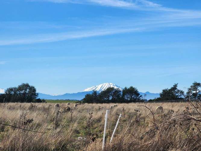 1 HECTARIA EN LONCOTORO VISTA A LOS VOLCANES (73806)