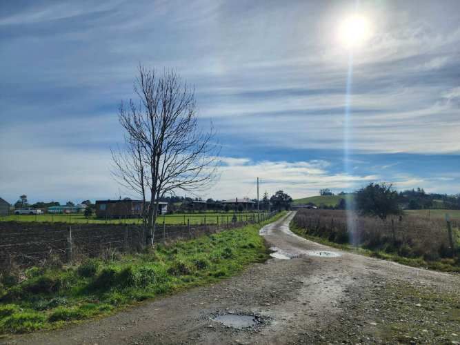 1 HECTARIA EN LONCOTORO VISTA A LOS VOLCANES (73806)