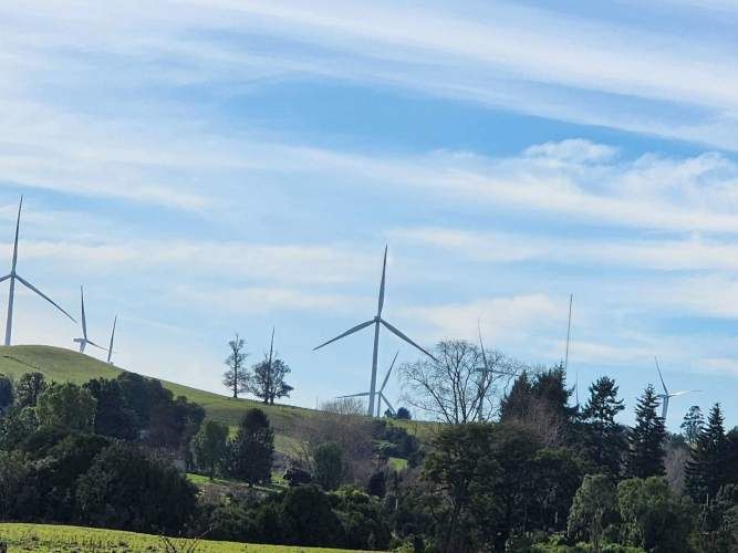 1 HECTARIA EN LONCOTORO VISTA A LOS VOLCANES (73806)