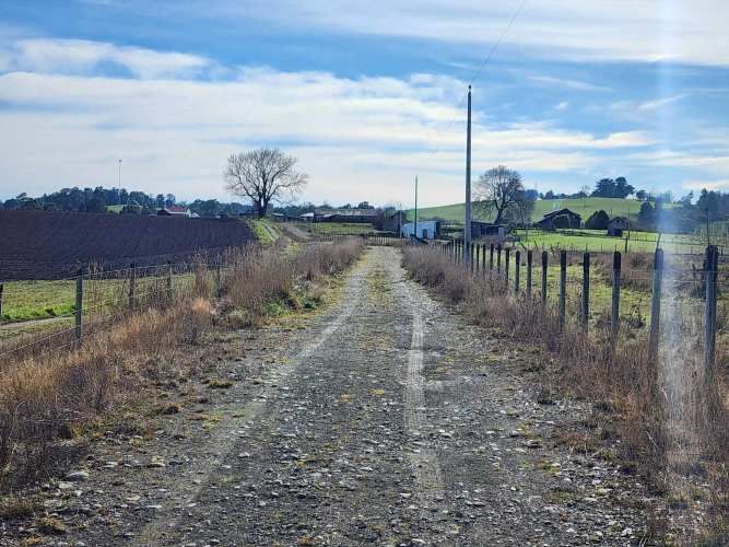 1 HECTARIA EN LONCOTORO VISTA A LOS VOLCANES (73806)
