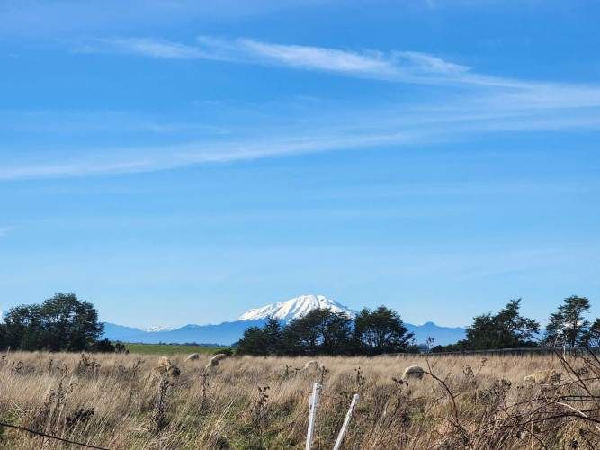 1 HECTARIA EN LONCOTORO VISTA A LOS VOLCANES (73806)