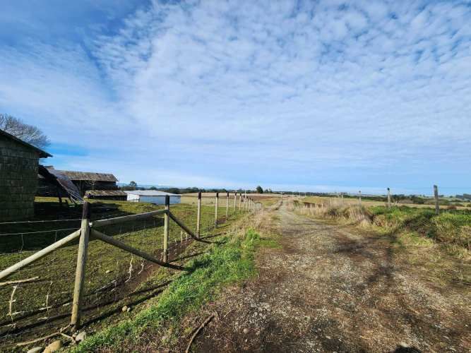 1 HECTARIA EN LONCOTORO VISTA A LOS VOLCANES (73806)