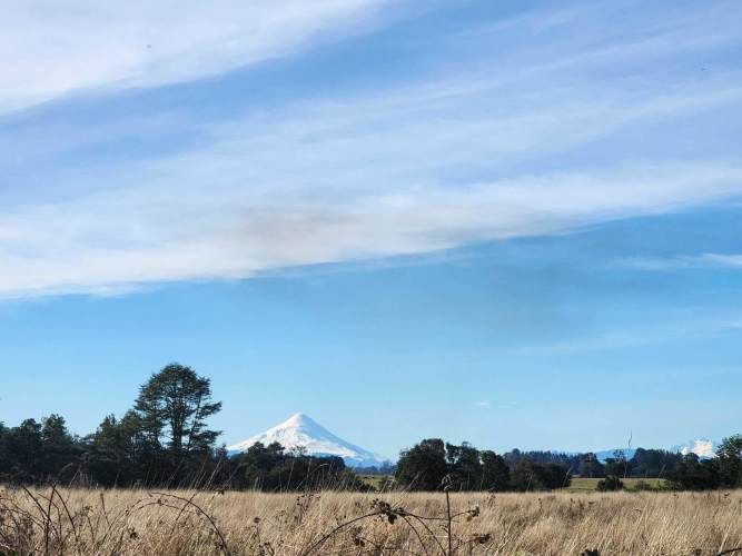 1 HECTARIA EN LONCOTORO VISTA A LOS VOLCANES (73806)
