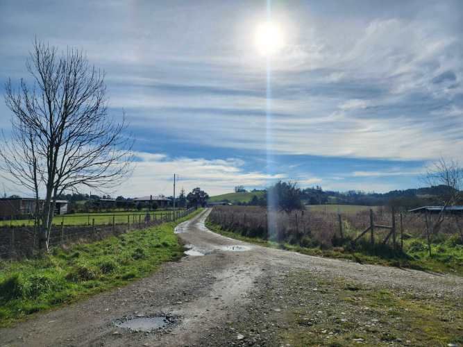 1 HECTARIA EN LONCOTORO VISTA A LOS VOLCANES (73806)
