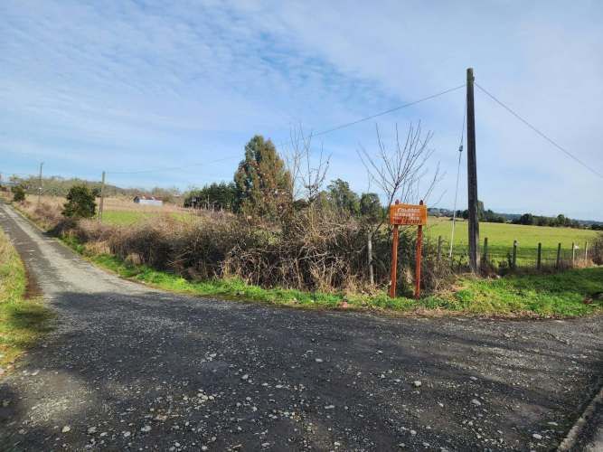 1 HECTARIA EN LONCOTORO VISTA A LOS VOLCANES (73806)