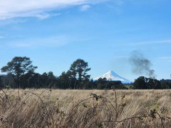 1 HECTARIA EN LONCOTORO VISTA A LOS VOLCANES (73806)