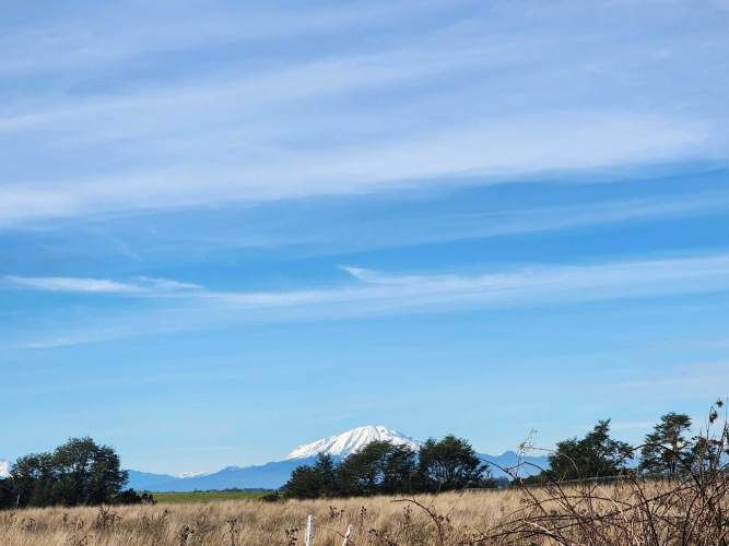 1 HECTARIA EN LONCOTORO VISTA A LOS VOLCANES (73806)