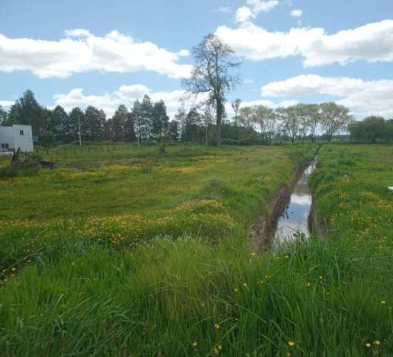 PARCELA EN TACAMO (73804)