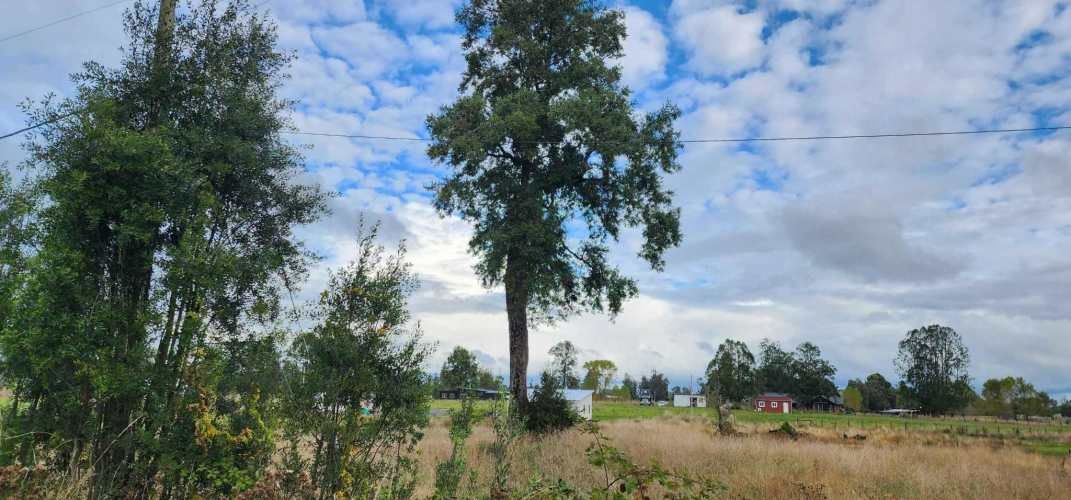 PARCELA EN TACAMO (73804)