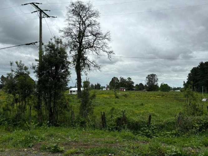 PARCELA EN TACAMO (73804)