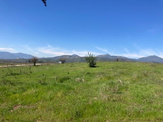 Arriendo parcela de 5.000m2 en Casablanca