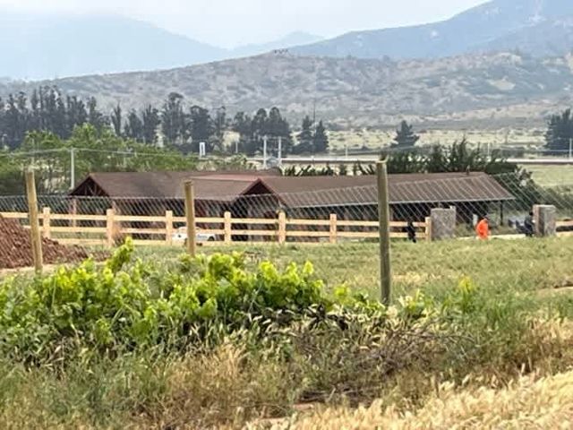 Arriendo parcela de 5.000m2 en Casablanca