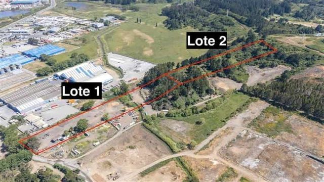 INDUSTRIAL Las Golondrinas