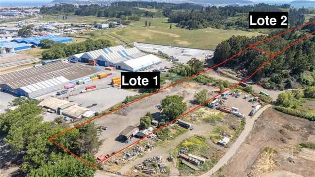 INDUSTRIAL Las Golondrinas