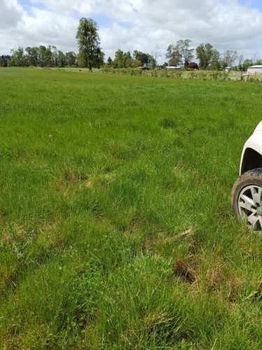 Parcela CERCANO RÍO LAGO RANCO
