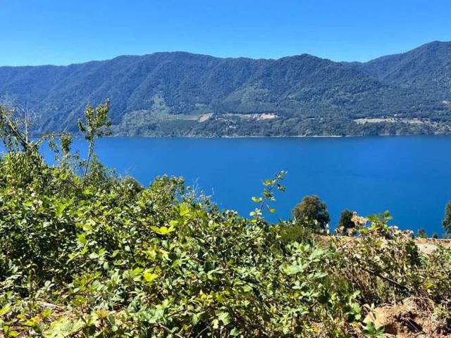 Parcela con Vista al Lago Loteo Quebrada Riñihue