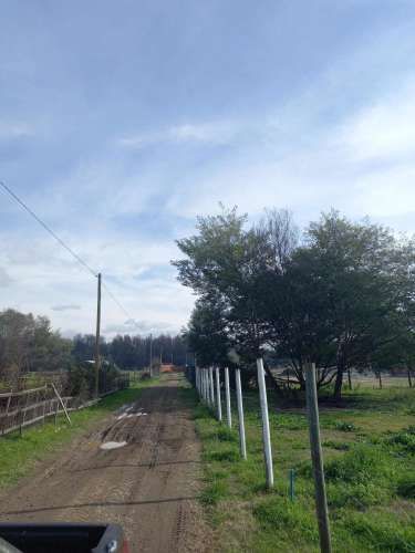 VENTA 4 HECTAREAS SECTOR COYANCO, QUILLÓN.