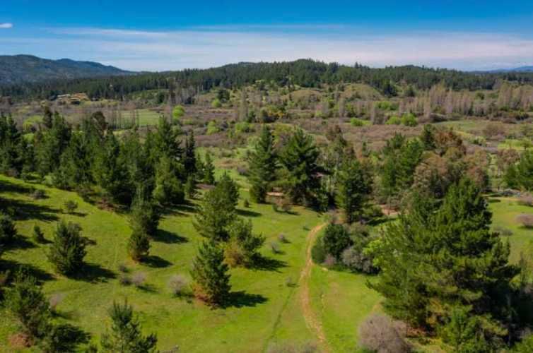 Acogedor Hermoso y Excelente Oportunidad de Inversión Terreno en Cauquenes