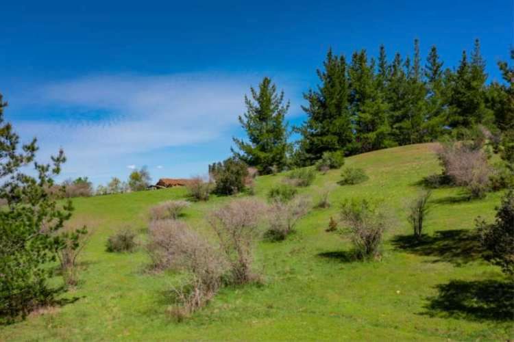Acogedor Hermoso y Excelente Oportunidad de Inversión Terreno en Cauquenes