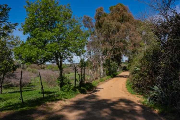 Acogedor Hermoso y Excelente Oportunidad de Inversión Terreno en Cauquenes