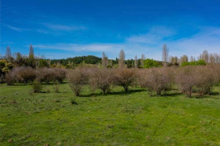 Acogedor Hermoso y Excelente Oportunidad de Inversión Terreno en Cauquenes