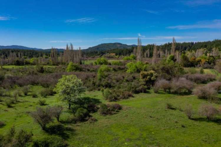 Acogedor Hermoso y Excelente Oportunidad de Inversión Terreno en Cauquenes